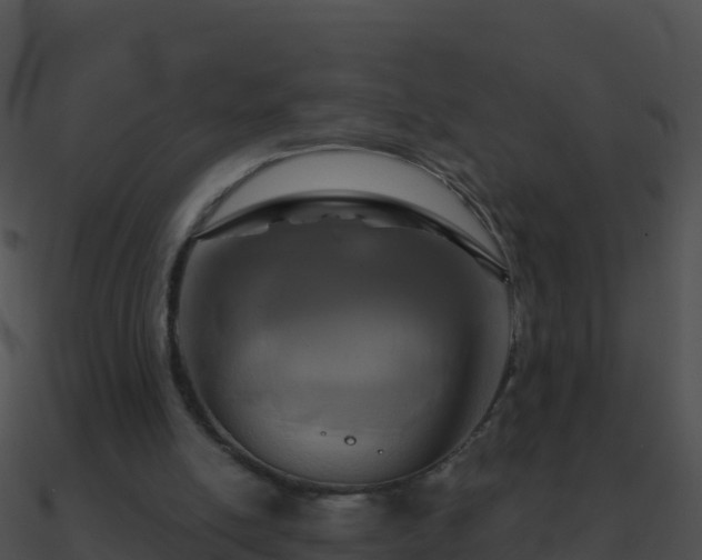 X0000090870054200708031018