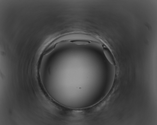 X0000090870055200708031018