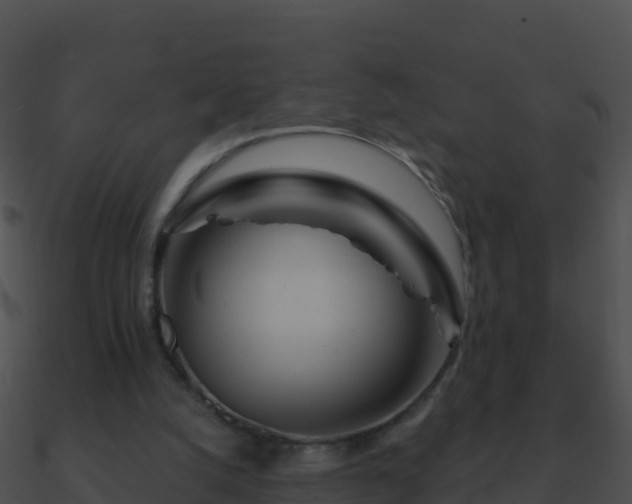 X0000090870056200708031018