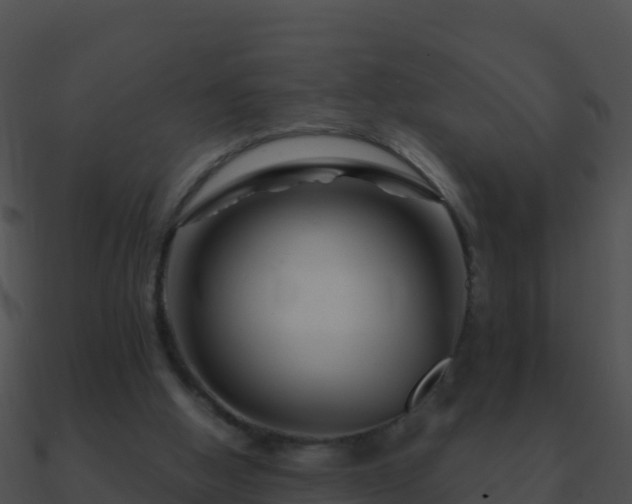 X0000090870058200708031018