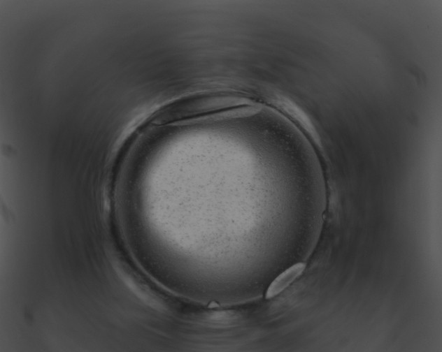 X0000090870059200708031018