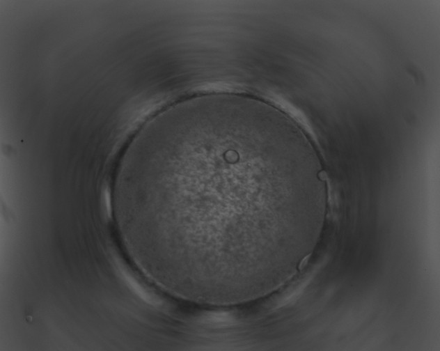 X0000090870061200708031018