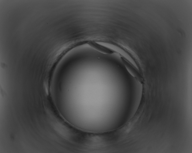 X0000090870062200708031018