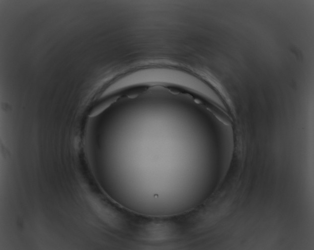 X0000090870063200708031018