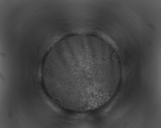 X0000090870065200708031018