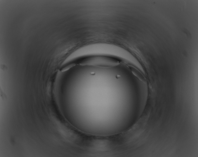 X0000090870066200708031018