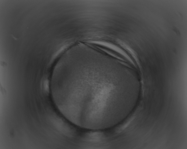 X0000090870067200708031018