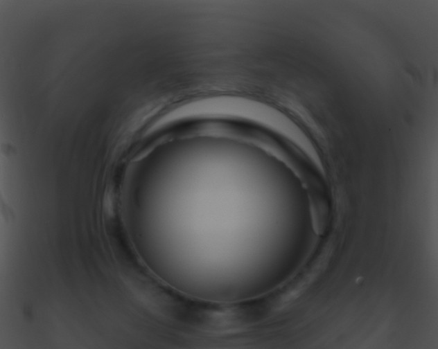 X0000090870068200708031018