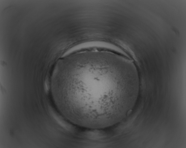 X0000090870069200708031018