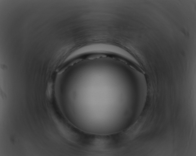 X0000090870070200708031018