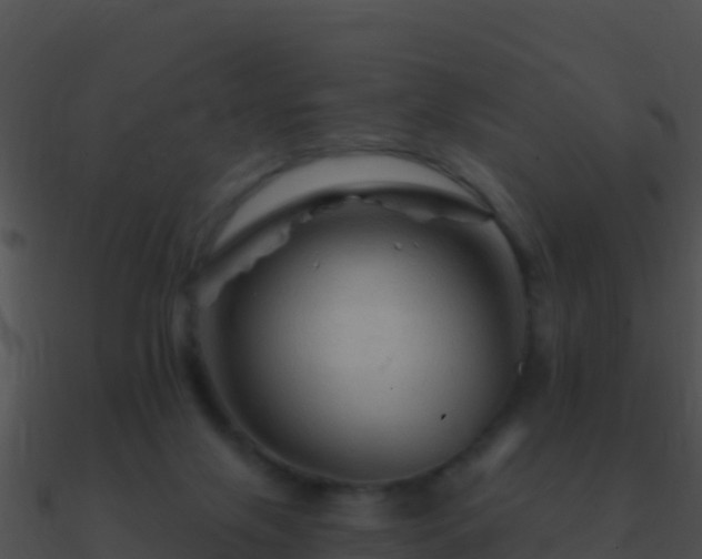 X0000090870071200708031018