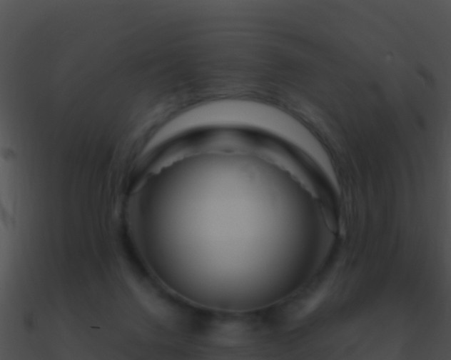 X0000090870072200708031018