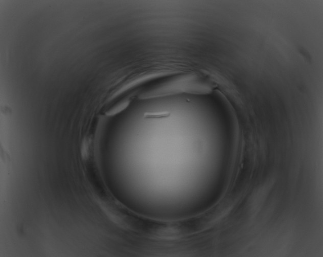 X0000090870075200708031018