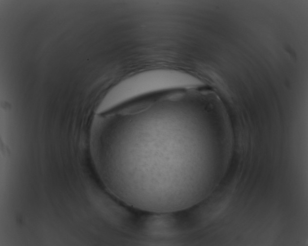 X0000090870077200708031018