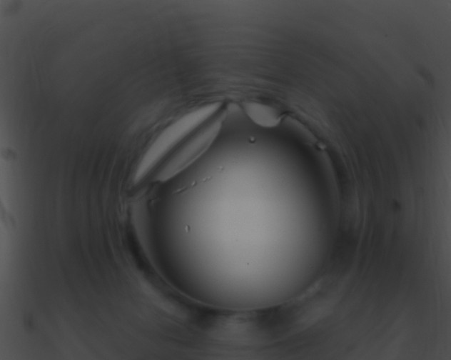 X0000090870078200708031018