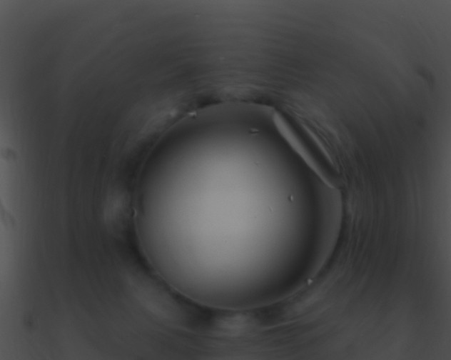 X0000090870079200708031018