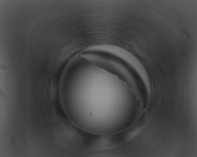 X0000090870080200708031018