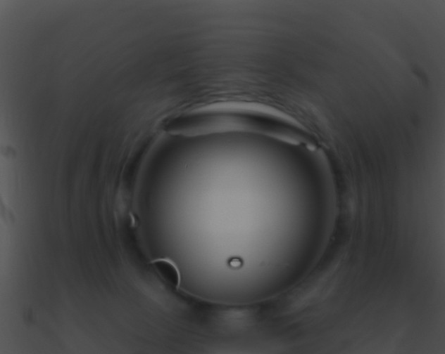 X0000090870081200708031018