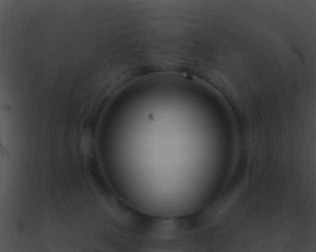 X0000090870083200708031018