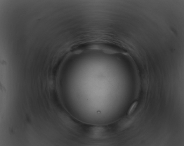 X0000090870085200708031018