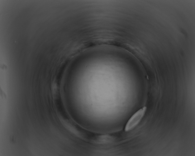 X0000090870087200708031018