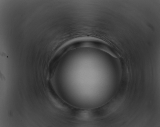 X0000090870088200708031018