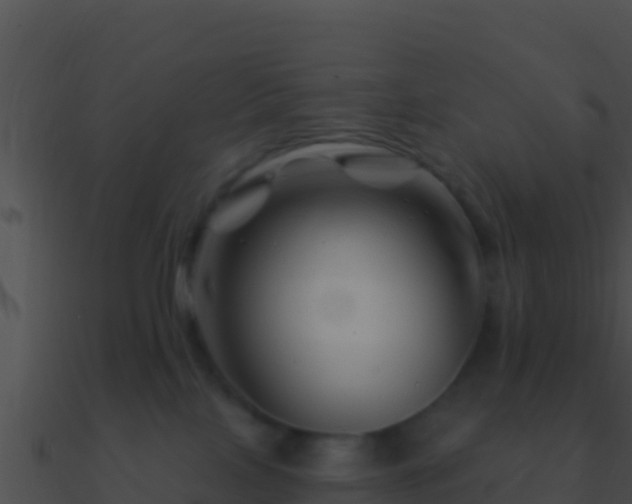 X0000090870089200708031018