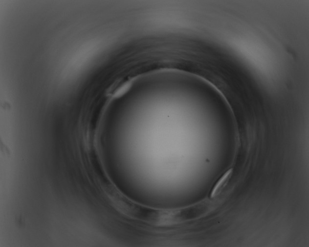 X0000090870093200708031018