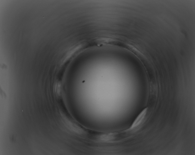 X0000090870094200708031018