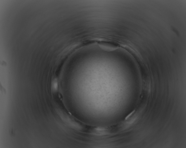 X0000090870095200708031018