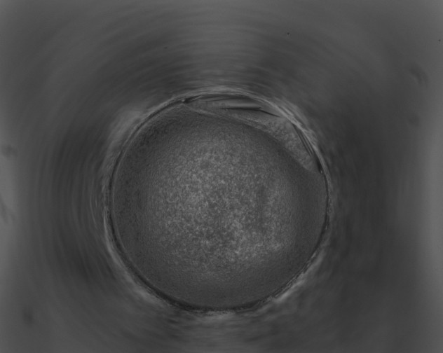 X0000090870097200708031018