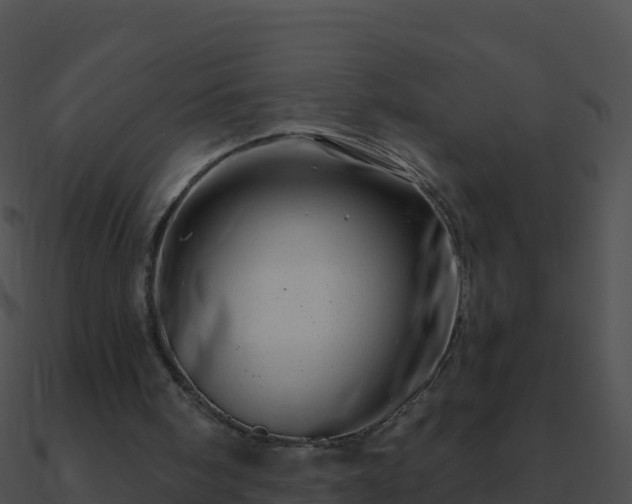 X0000090870098200708031018