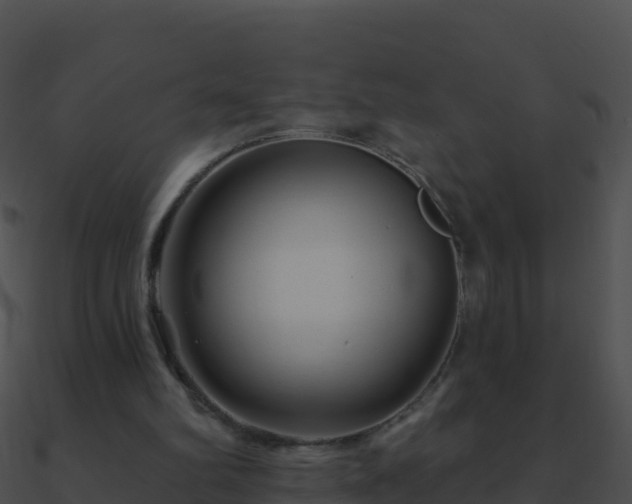 X0000090870102200708031017