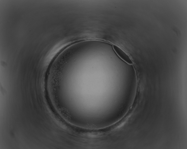 X0000090870103200708031017