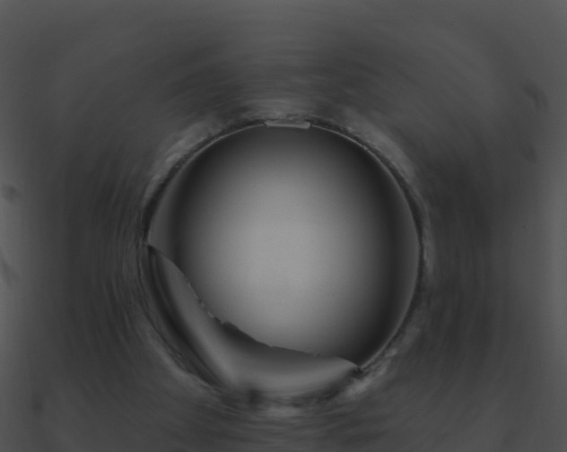 X0000090870105200708031017