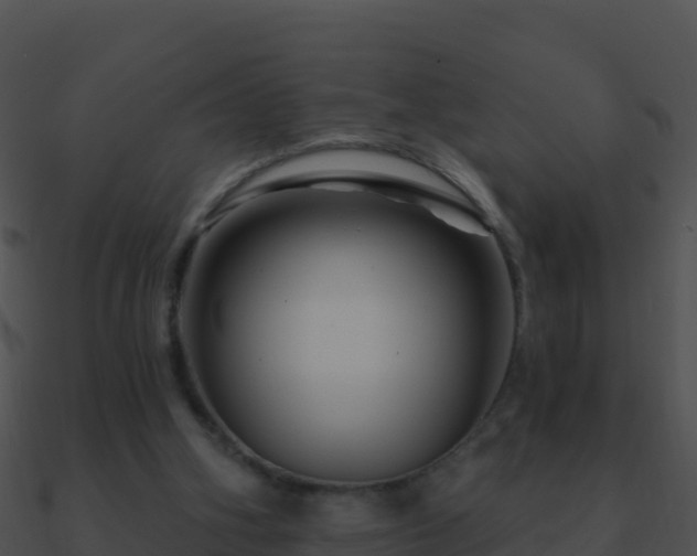 X0000090870106200708031017