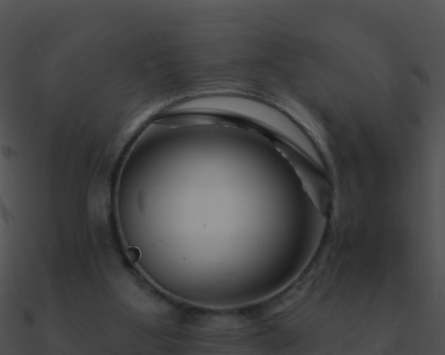 X0000090870107200708031017