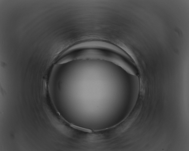 X0000090870109200708031017