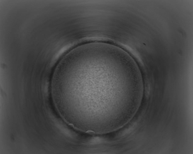 X0000090870111200708031017