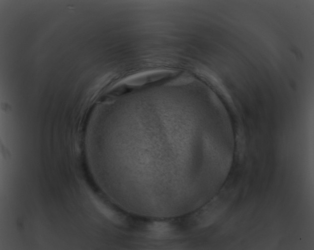 X0000090870114200708031017