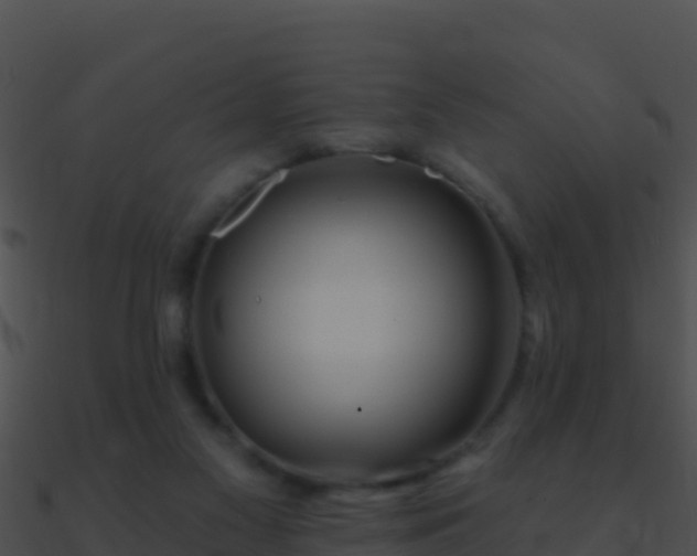 X0000090870117200708031017