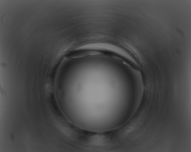 X0000090870119200708031017