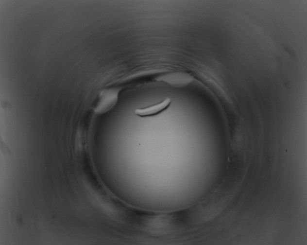 X0000090870122200708031017