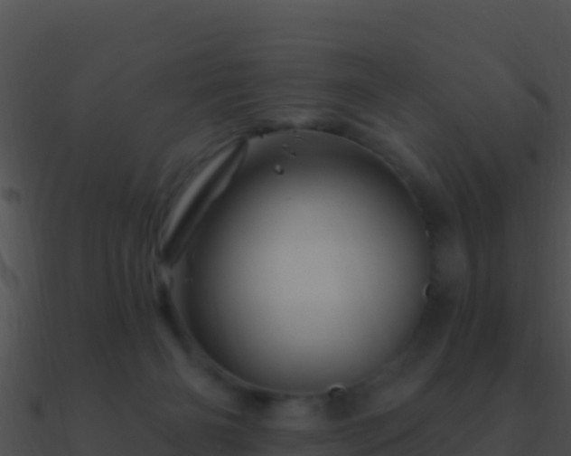 X0000090870126200708031017