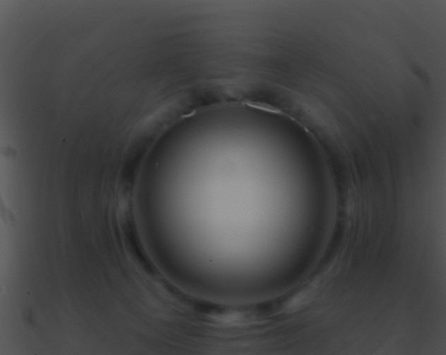 X0000090870129200708031017