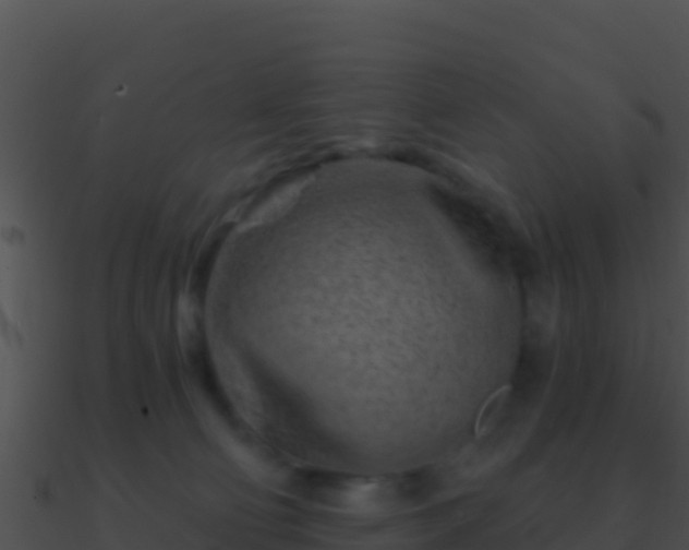 X0000090870130200708031017