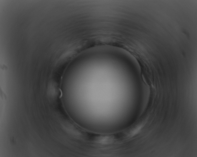 X0000090870135200708031017