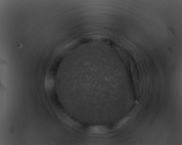 X0000090870137200708031017