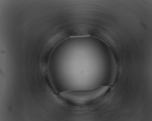 X0000090870141200708031017