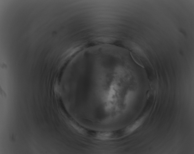 X0000090870143200708031017